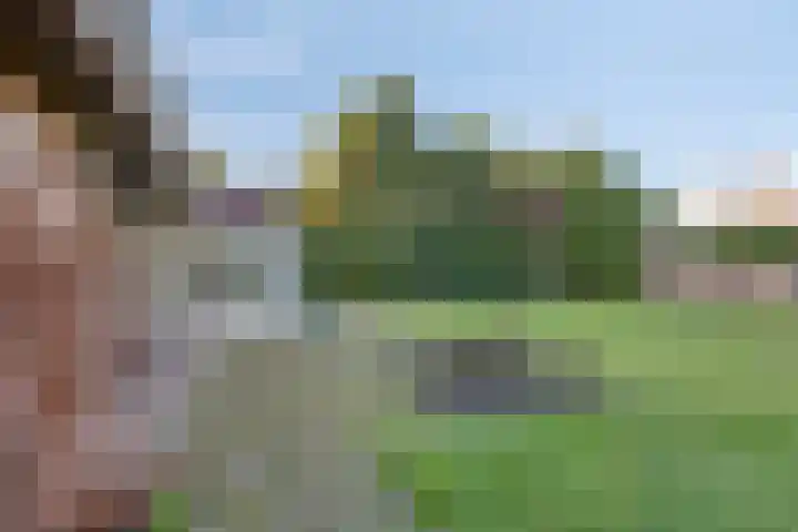 Reitselaan 61 Haaren thumbnail 31