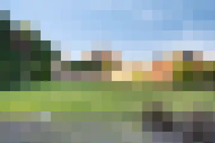 Reitselaan 61 Haaren thumbnail 32