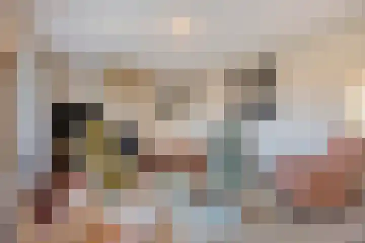 Reitselaan 61 Haaren thumbnail 7