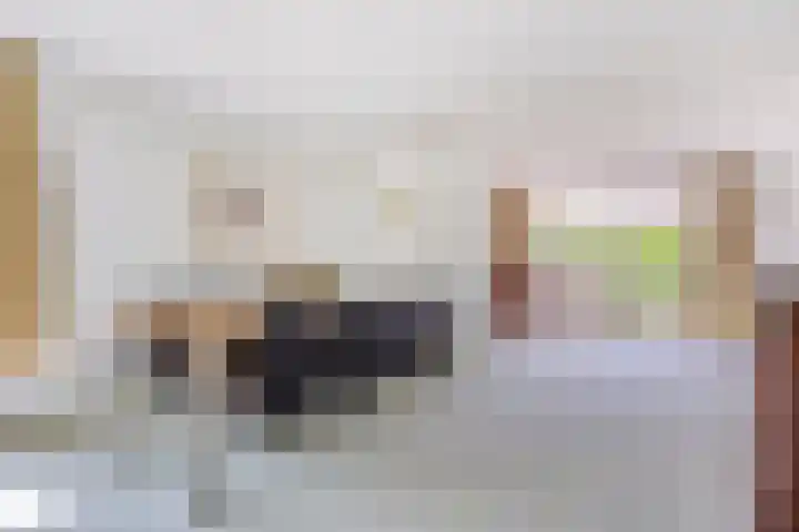 Reitselaan 65 Haaren thumbnail 13