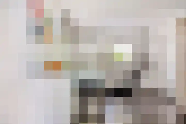 Reitselaan 65 Haaren thumbnail 18