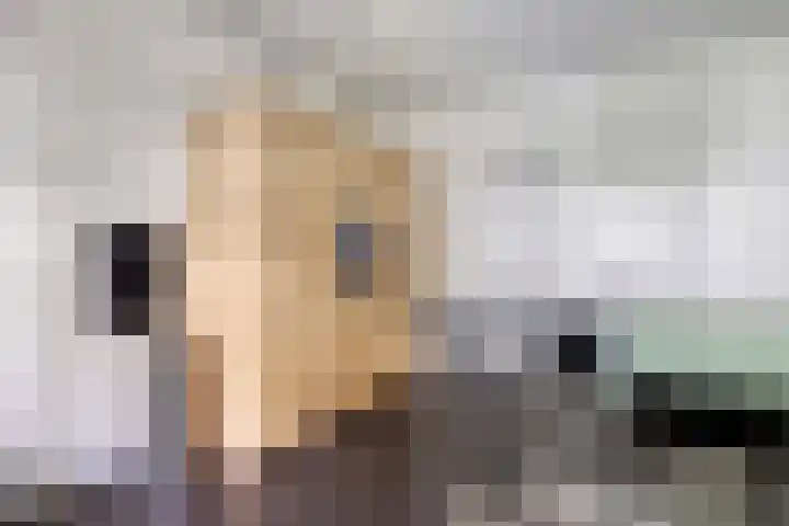 Reitselaan 65 Haaren thumbnail 20