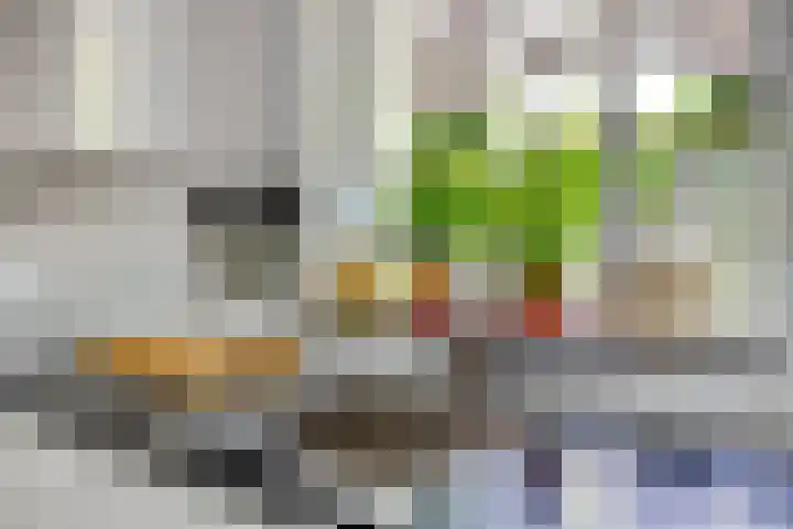 Reitselaan 65 Haaren thumbnail 21