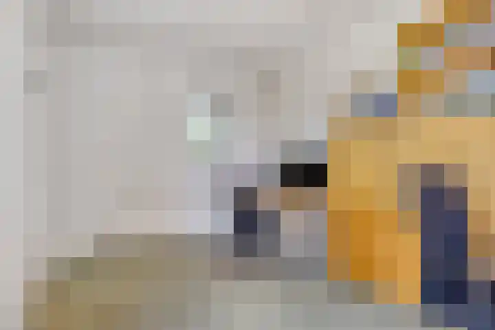 Reitselaan 65 Haaren thumbnail 24