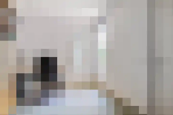 Reitselaan 65 Haaren thumbnail 25