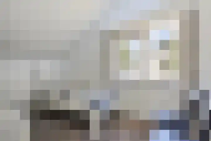 Reitselaan 65 Haaren thumbnail 33