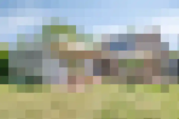 Reitselaan 65 Haaren thumbnail 38