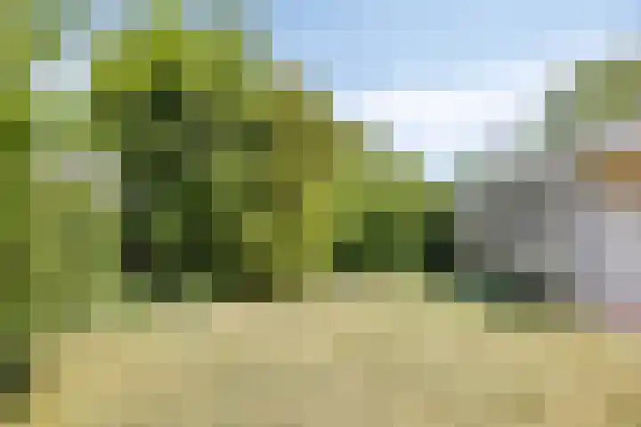 Reitselaan 65 Haaren thumbnail 39