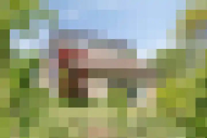 Reitselaan 65 Haaren thumbnail 4