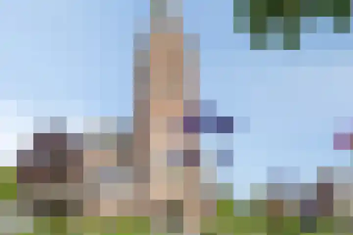 Reitselaan 65 Haaren thumbnail 41