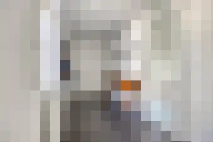 Reitselaan 65 Haaren thumbnail 5