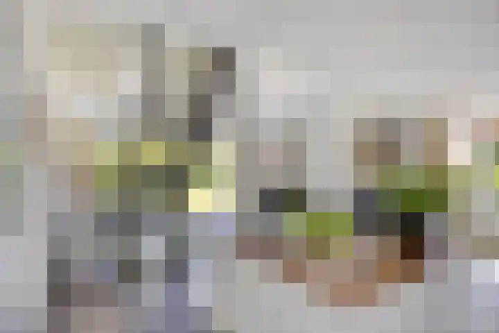 Reitselaan 65 Haaren thumbnail 8