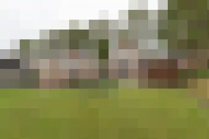 Reitsema Burchtstraat 7 Grijpskerk thumbnail 22