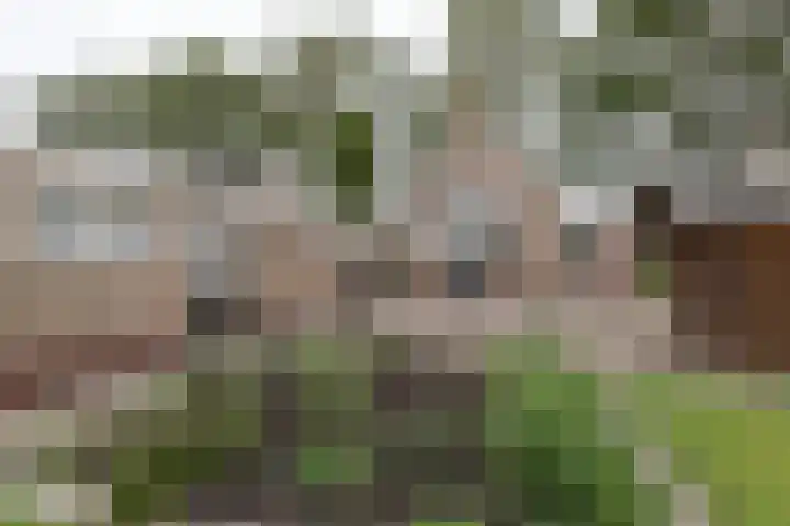 Reitsema Burchtstraat 7 Grijpskerk thumbnail 23