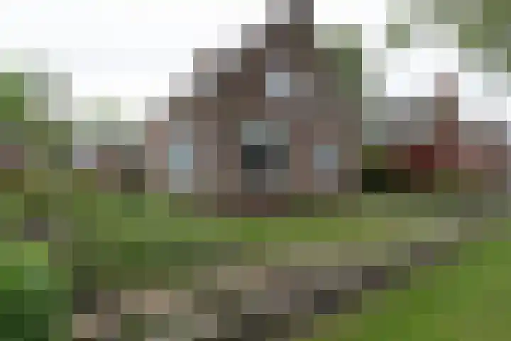 Reitsema Burchtstraat 7 Grijpskerk thumbnail 25