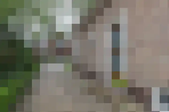 Reitsema Burchtstraat 7 Grijpskerk thumbnail 27