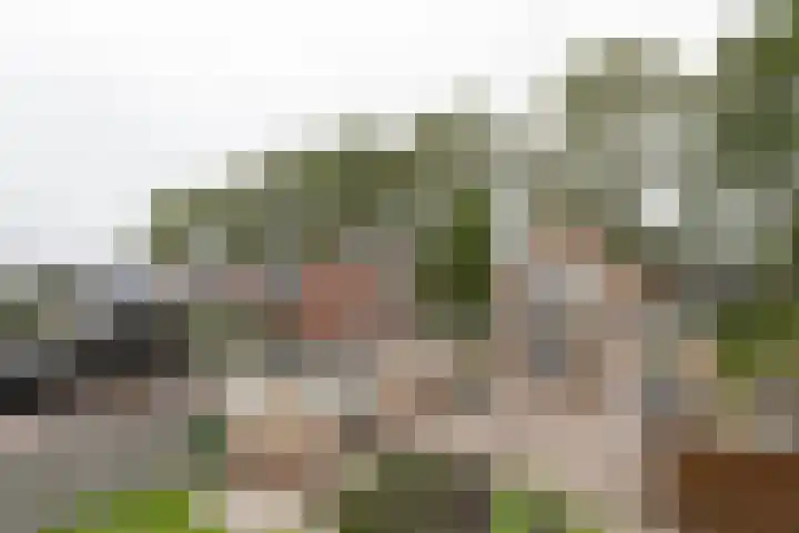 Reitsema Burchtstraat 7 Grijpskerk thumbnail 37