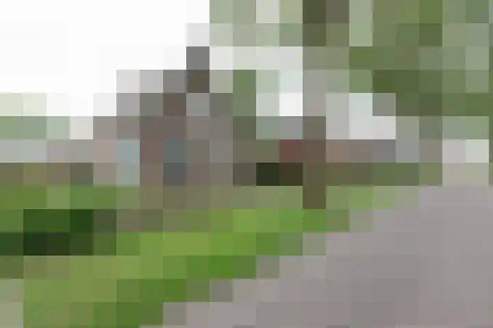 Reitsema Burchtstraat 7 Grijpskerk thumbnail 4