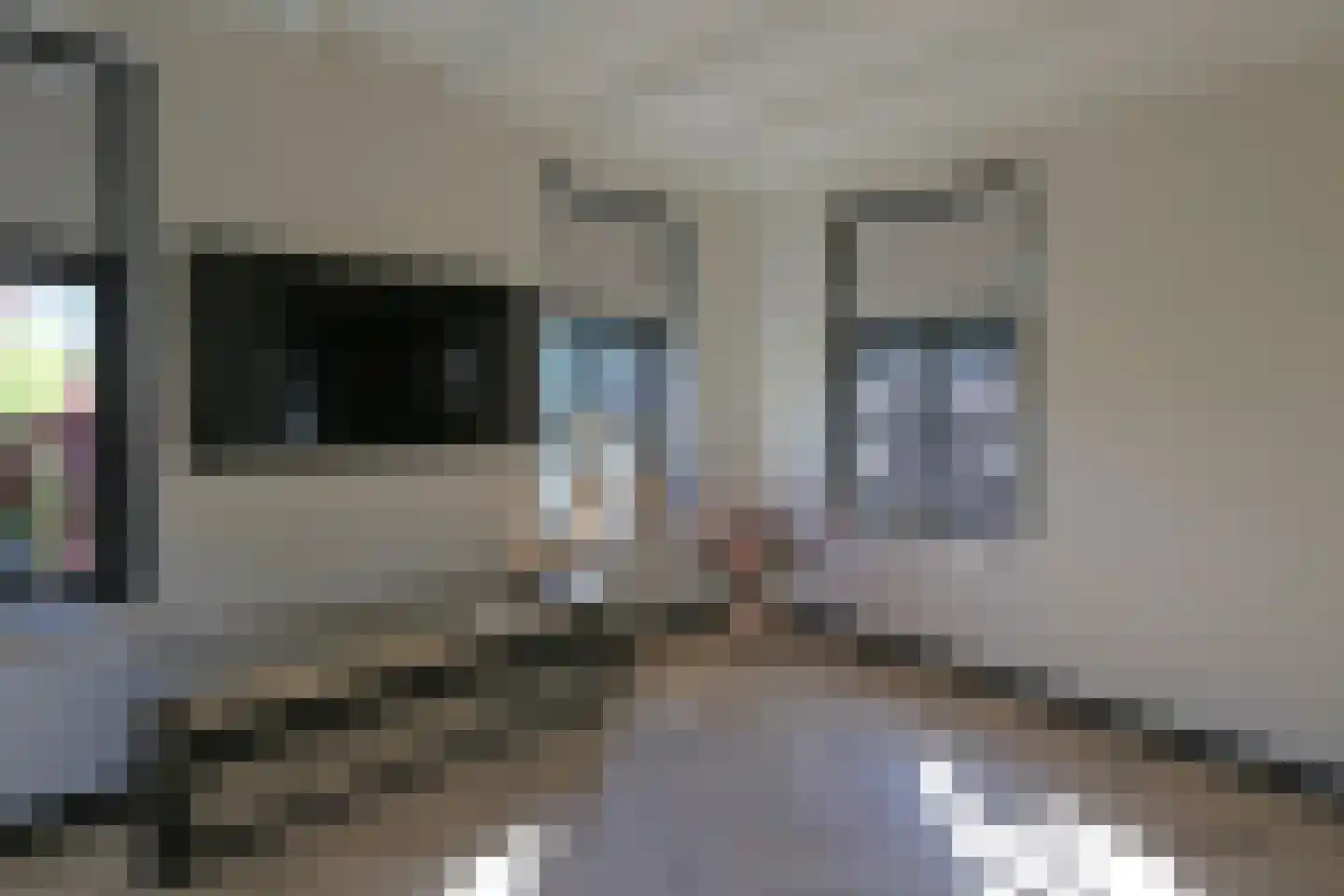 Reitsmastrjitte 11 Harkema thumbnail 11