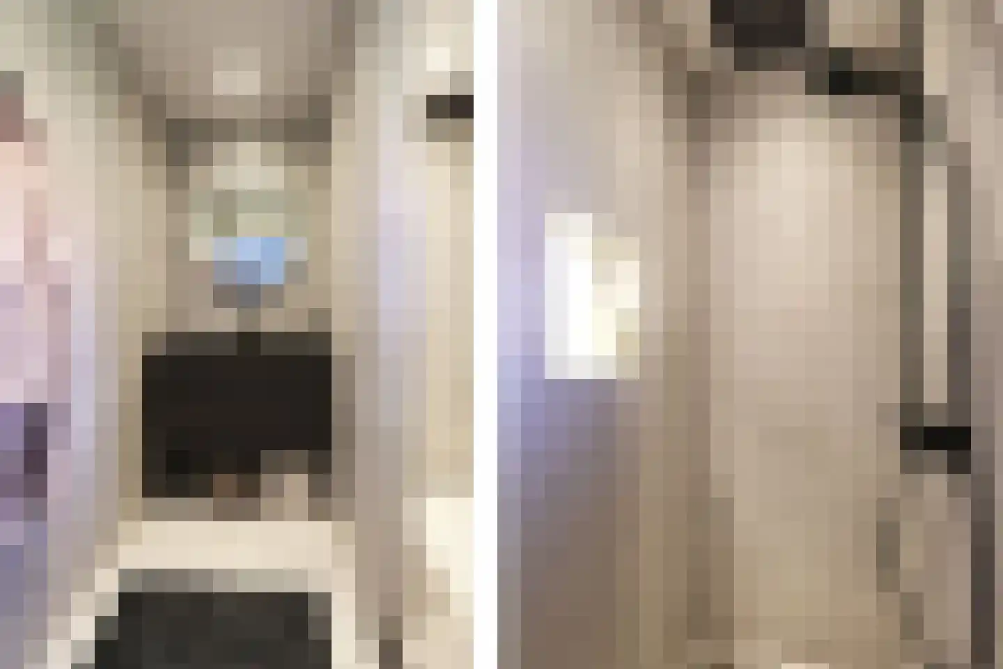Reitsmastrjitte 11 Harkema thumbnail 30