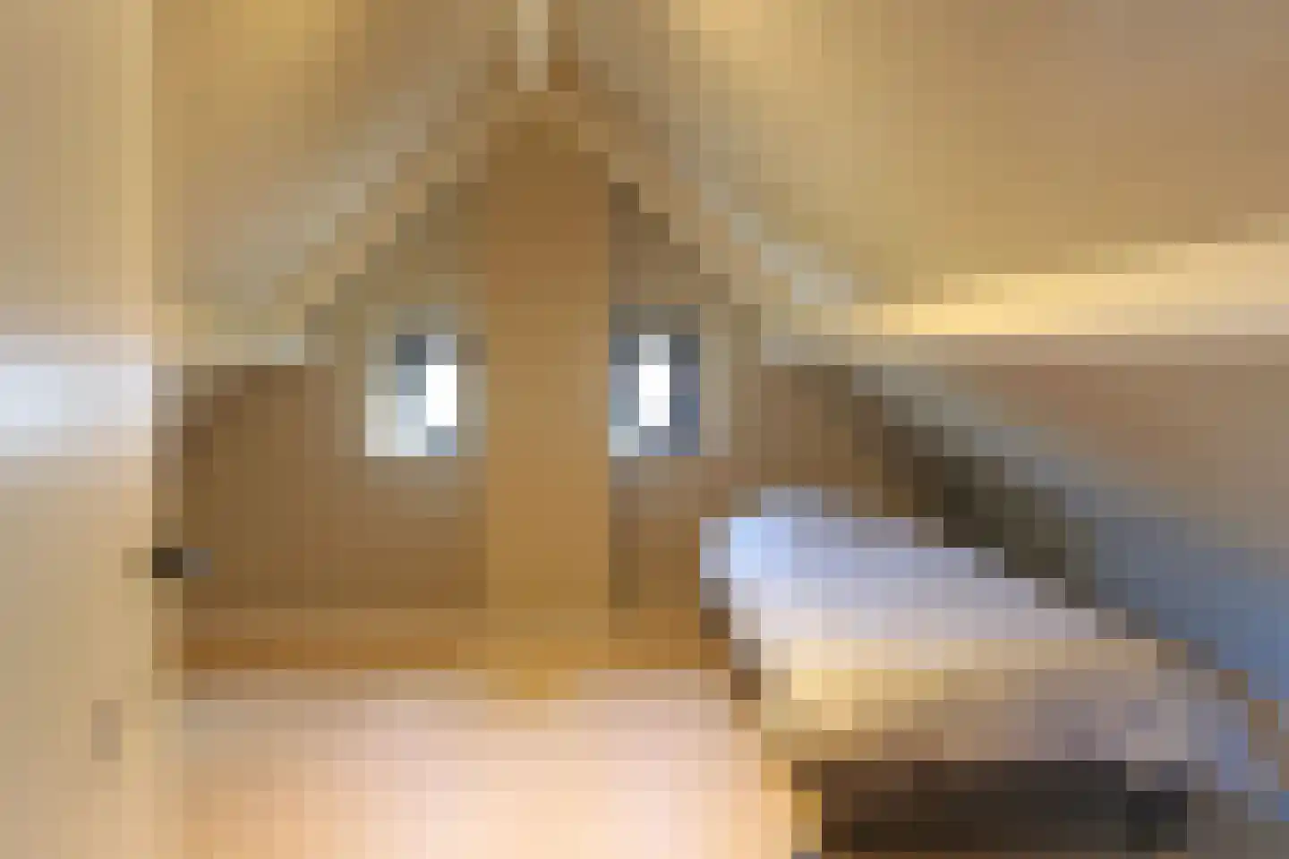 Reitsmastrjitte 11 Harkema thumbnail 32