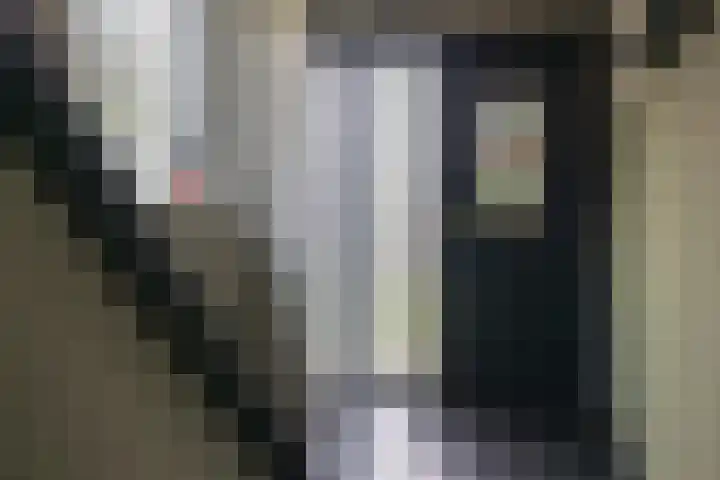 Reitsmastrjitte 47 Harkema thumbnail 10