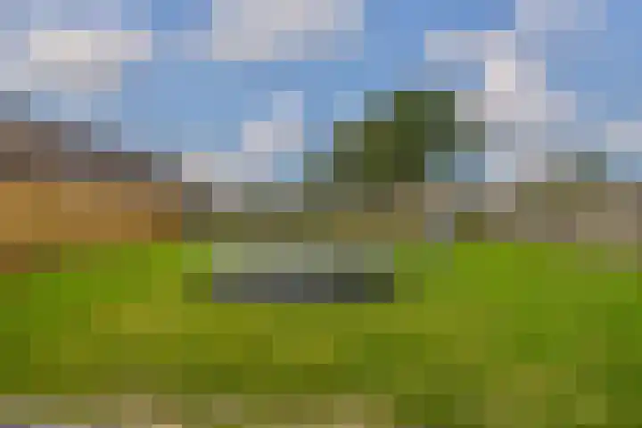 Reitsmastrjitte 47 Harkema thumbnail 4