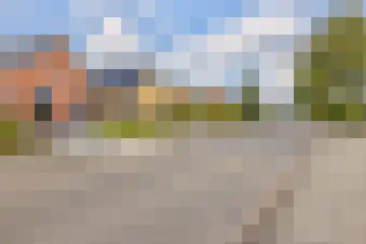 Reitsmastrjitte 47 Harkema thumbnail 8