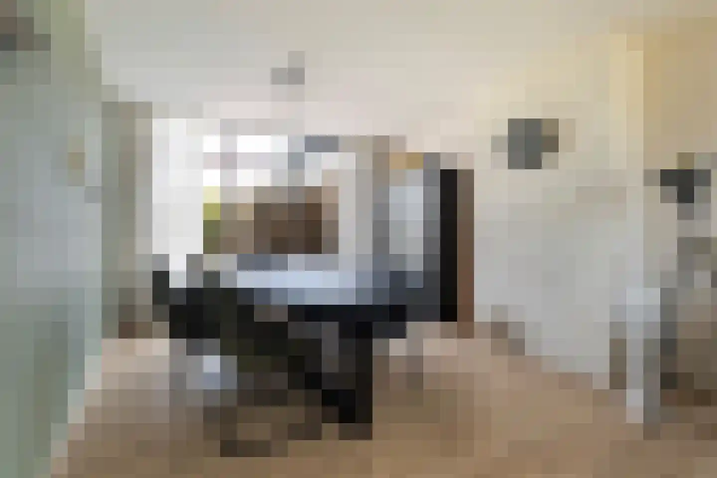 Reitsmaweg 43 Hurdegaryp thumbnail 10