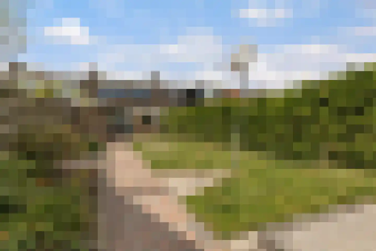 Reitsmaweg 43 Hurdegaryp thumbnail 31