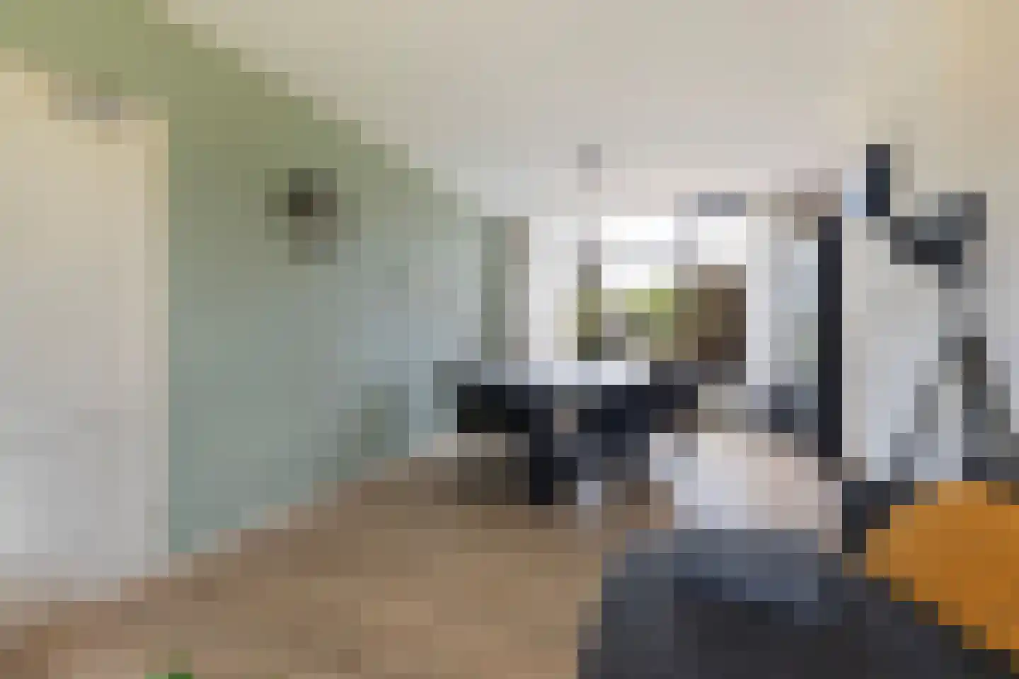 Reitsmaweg 43 Hurdegaryp thumbnail 6