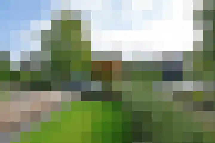 Reitsmaweg 60 Hurdegaryp thumbnail 4