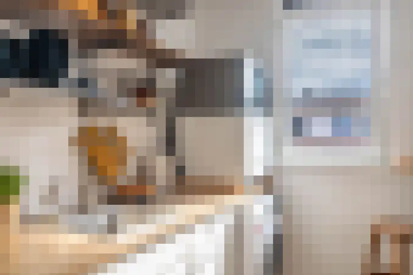 Reitzstraat 117 Amsterdam thumbnail 22