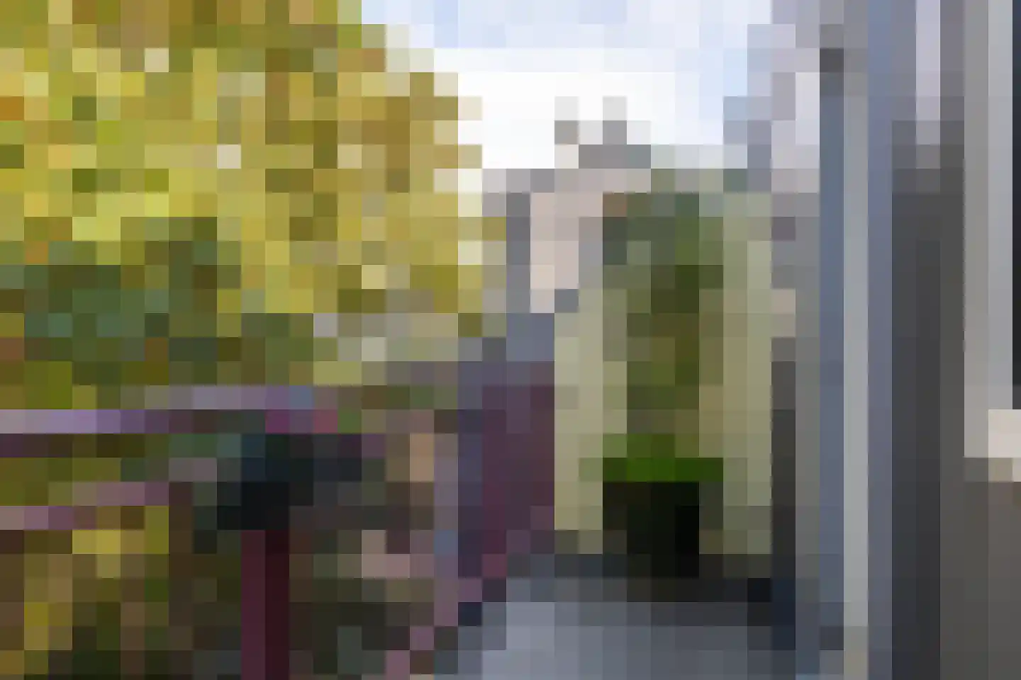 Reitzstraat 117 Amsterdam thumbnail 7