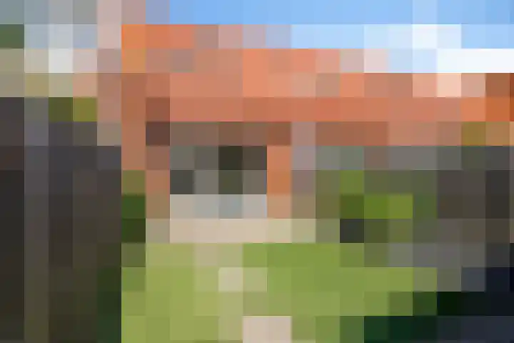 Reitzstraat 250 Den Haag thumbnail 25