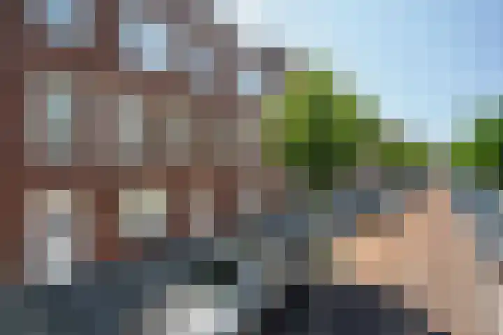 Reitzstraat 250 Den Haag thumbnail 29