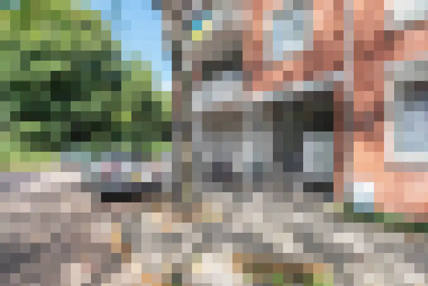 Reitzstraat 3 C Amsterdam thumbnail 20