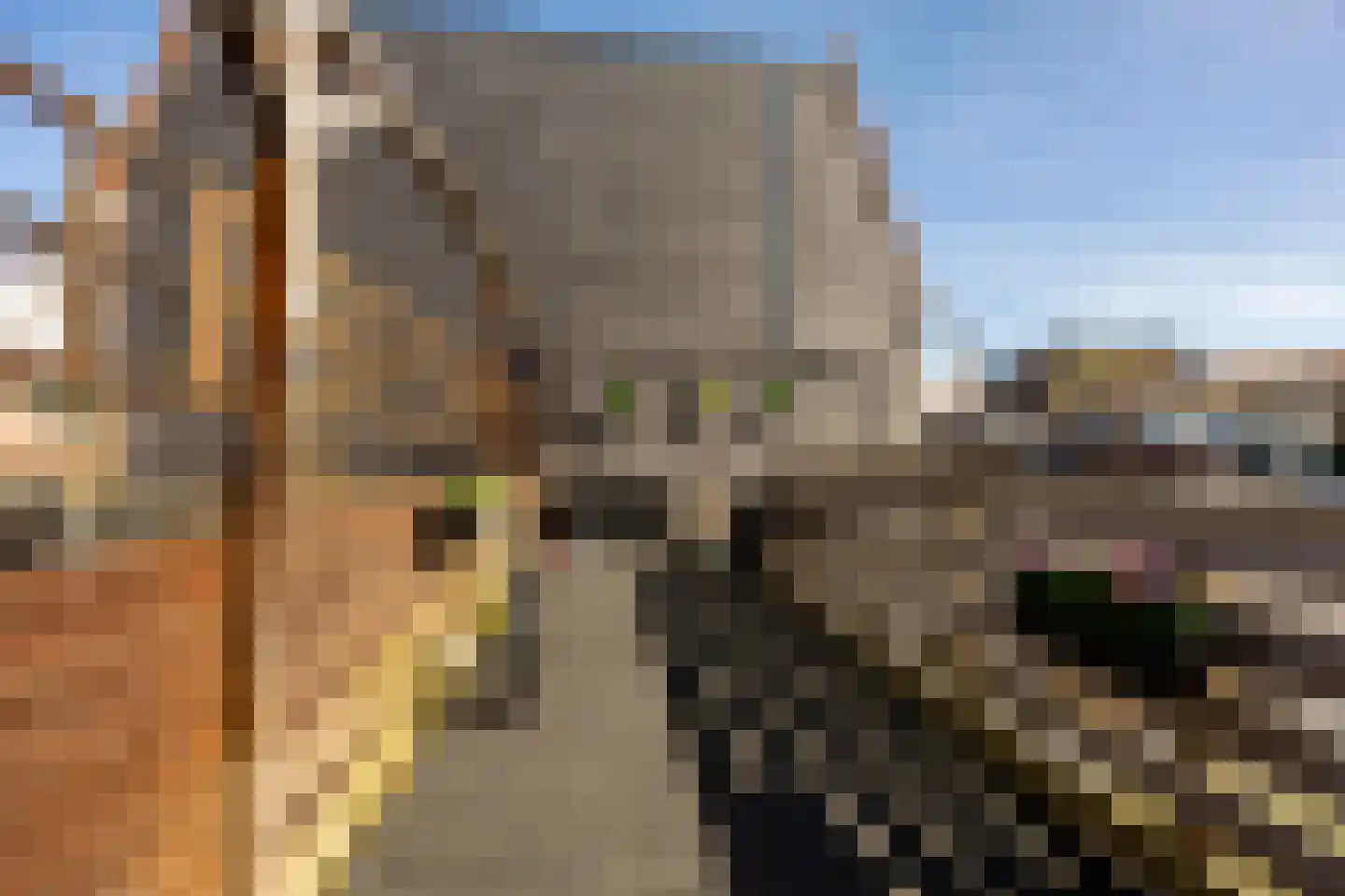 Reitzstraat 31 Haarlem thumbnail 28