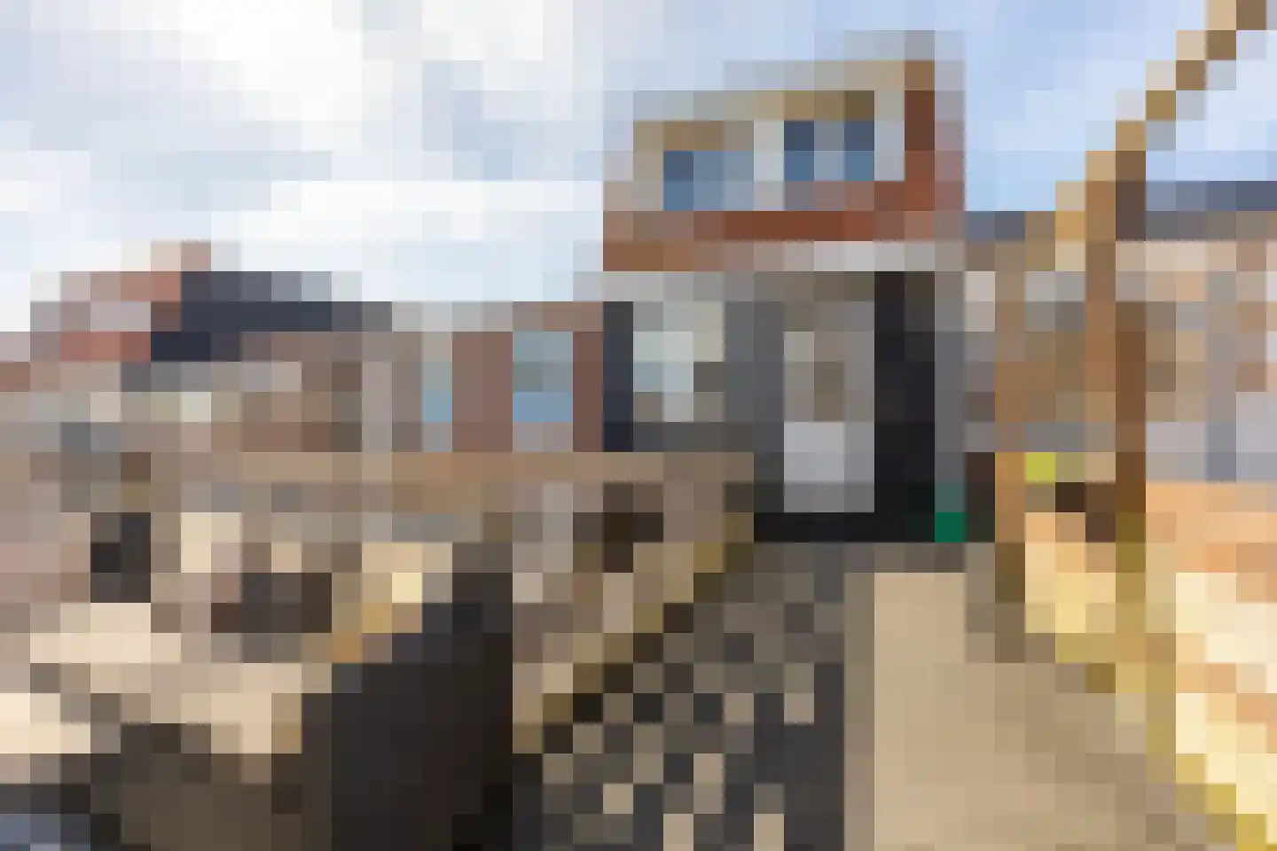 Reitzstraat 31 Haarlem thumbnail 4