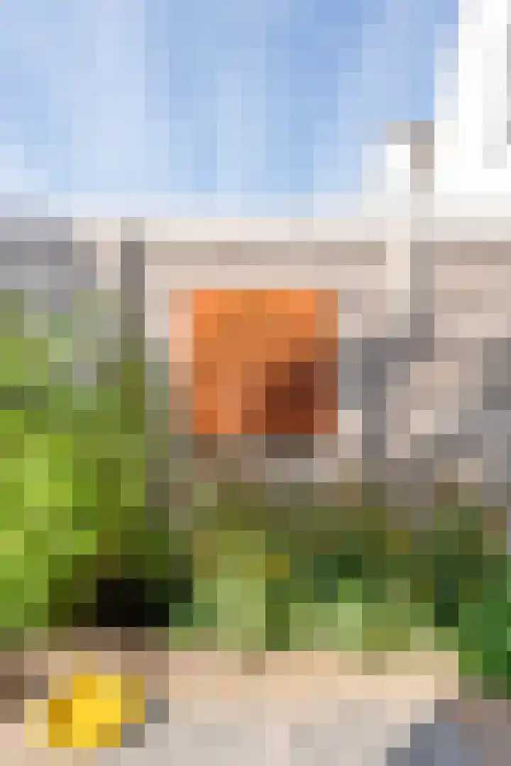 Reitzstraat 5 Leiden thumbnail 27