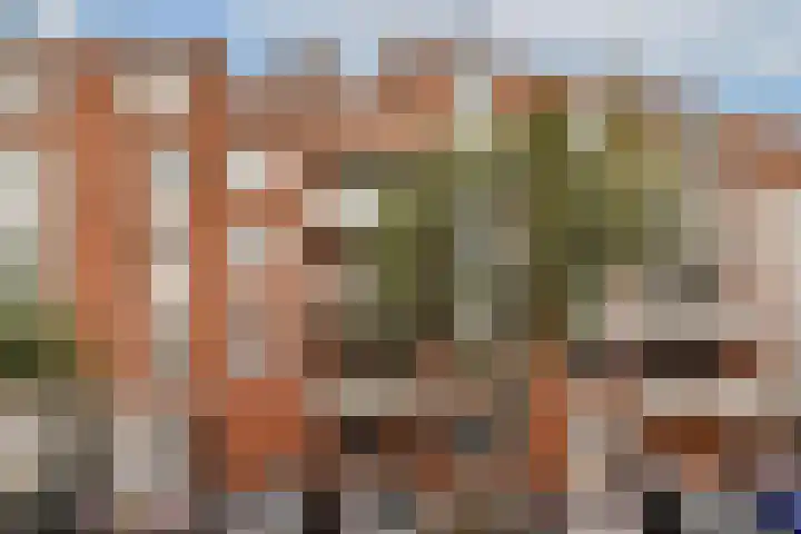Reitzstraat 9 E Amsterdam thumbnail 26