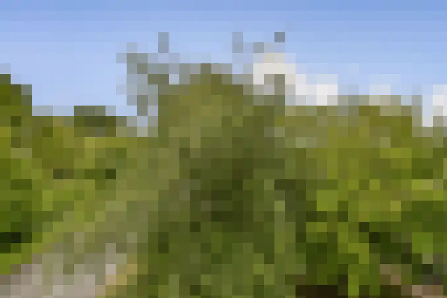 Reizigersweg 103 Amsterdam thumbnail 14
