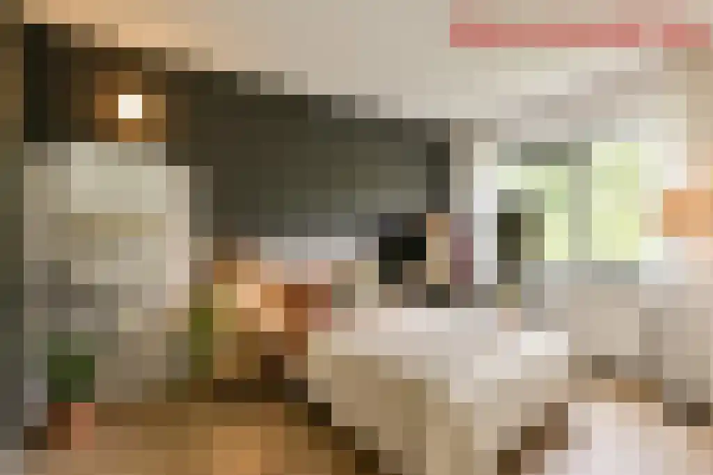 Reizigersweg 103 Amsterdam thumbnail 16