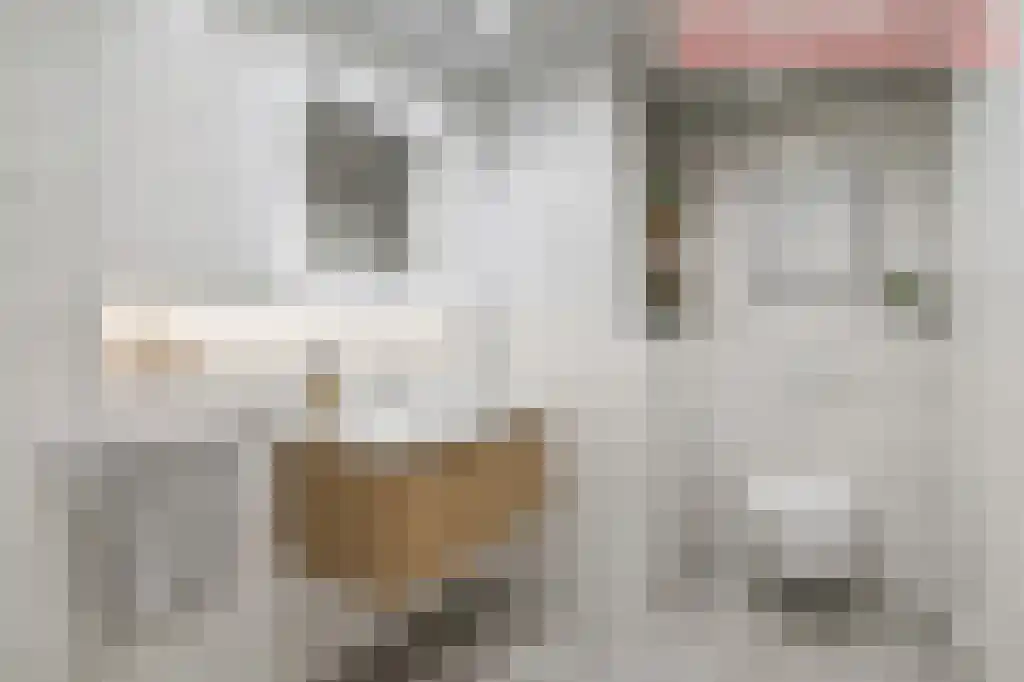 Reizigersweg 105 Amsterdam thumbnail 22