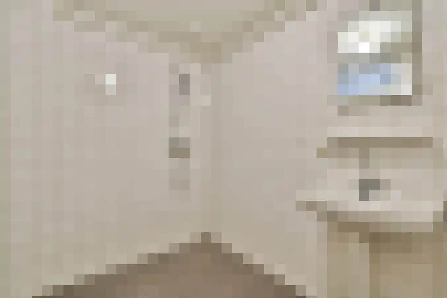 Reizigersweg 105 Amsterdam thumbnail 23