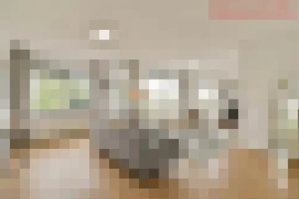Reizigersweg 105 Amsterdam thumbnail 6