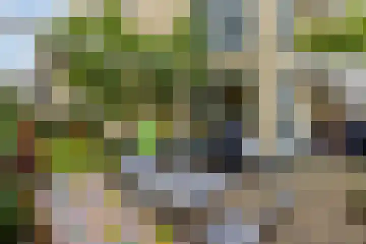 Reizigersweg 121 Amsterdam thumbnail 19