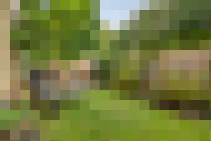 Reizigersweg 121 Amsterdam thumbnail 21