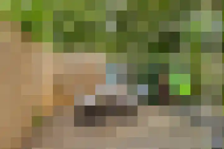 Reizigersweg 121 Amsterdam thumbnail 23