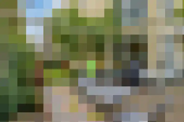 Reizigersweg 121 Amsterdam thumbnail 24